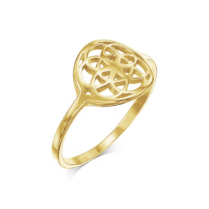 Amen B Jewels - Shirly Ring -14k gold circle of life ring (5)