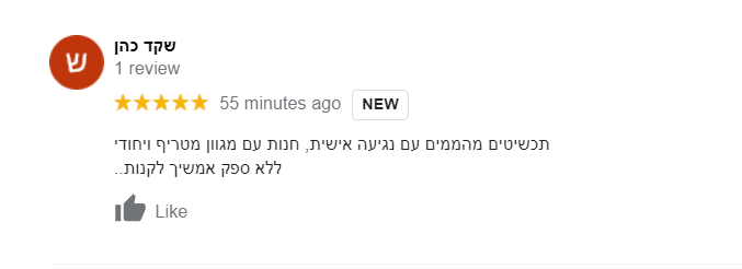 המלצה 2