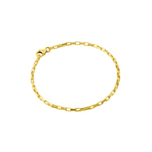 Amen-Jewelry- Diana - 925-Sterling-Silver-14K-Gold-plated-Links-Chain-Bracelet (1)