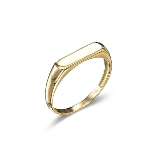 Amen B Jewels - Natalie Ring - Minimalist 14K solid gold  signet ring (1)