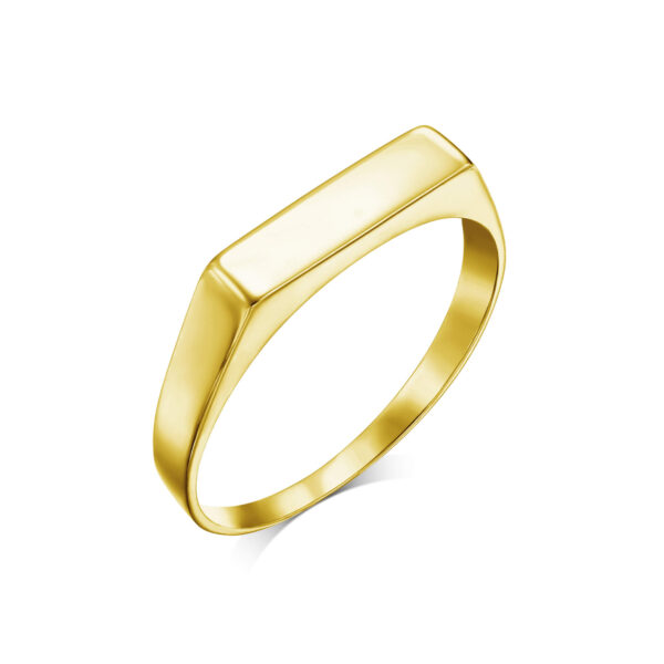Amen B Jewels - Raffaela Ring -Flat 14k gold ring (8)