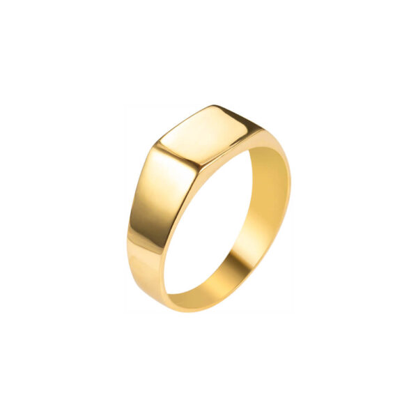 Amen B Jewels - Nathan Ring - Rectangle signet ring14k gold